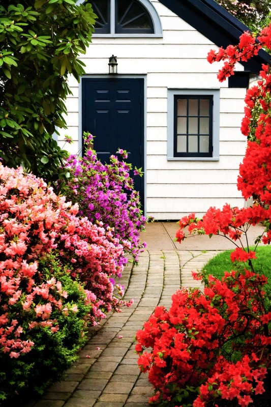 Ngam cay canh tien hoa dien giai het y nghia cuoc song-Hinh-6