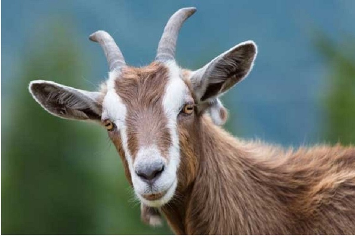 Dung Ram thang 4, 3 tuoi tai loc ngut Troi, dem tien moi tay-Hinh-9