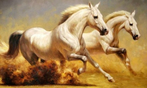 tử vi tuổi Ngọ - Ngôi Sao