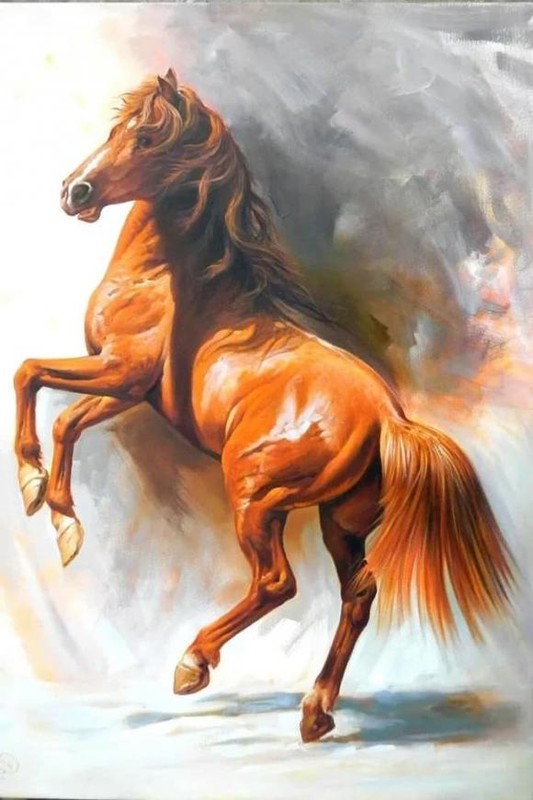 Dao hoa ruc ro nhat thang 5, 3 tuoi tim duoc y trung nhan