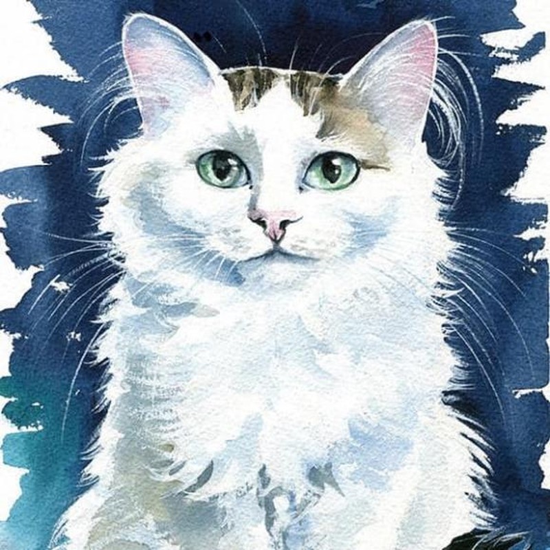 2 thang nua, 2 tuoi co loc quy nhan, 1 tuoi can than trong-Hinh-4