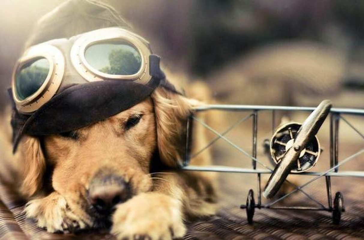 3 con giap qua van ngheo giau len vun vut, ngoi tren chinh vang-Hinh-9