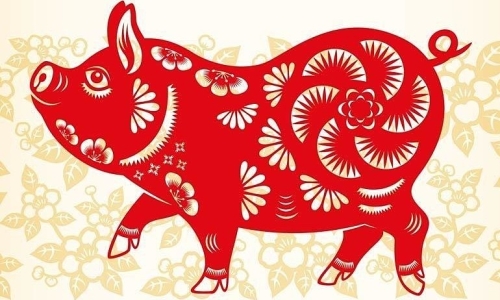 tử vi tuổi Hợi - Ngôi Sao