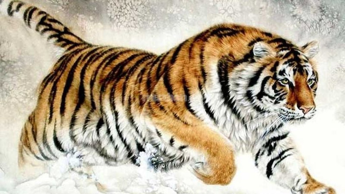 Du doan ngay moi 14/5/2025 cho 12 con giap: Tuat ly tri-Hinh-3