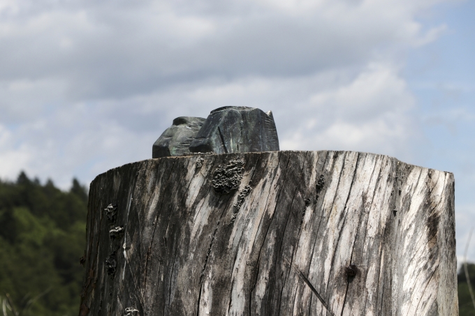 Phần bàn chân từ mắt cá trở xuống còn sót lại trên gốc cây sau khi tượng bị cưa trộm ngày 16/5. Ảnh: AP