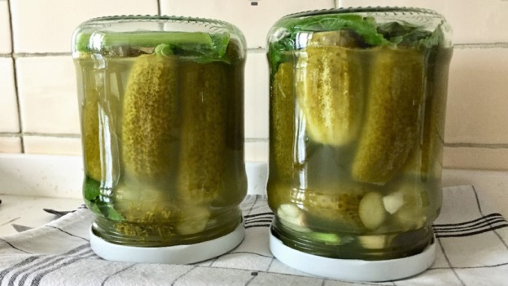 Dưa chuột muối của Nga. Ảnh: MoscowTimes