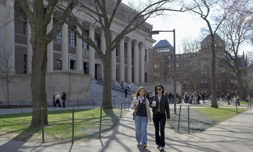 Bên trong khuôn viên Đại học Harvard ở Cambridge, Massachusetts, hồi tháng 4. Ảnh: Reuters