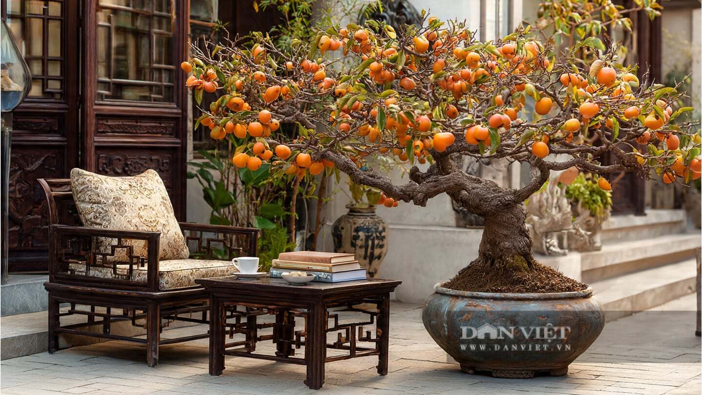 Cây cảnh hồng đá mang sức nóng vô cùng quyến rũ
