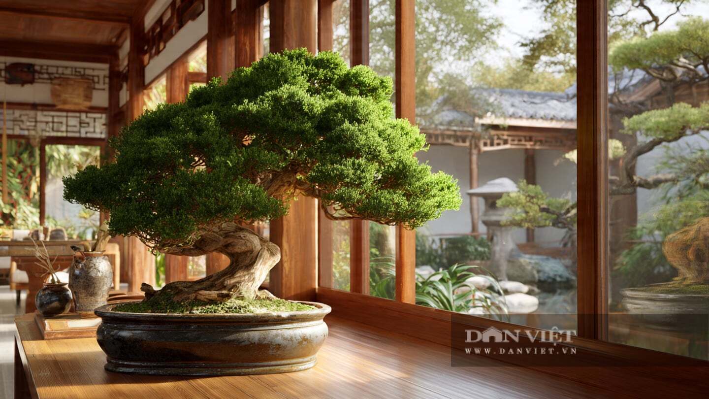 Tán lá kim xanh mướt mọc thành từng mảng dày