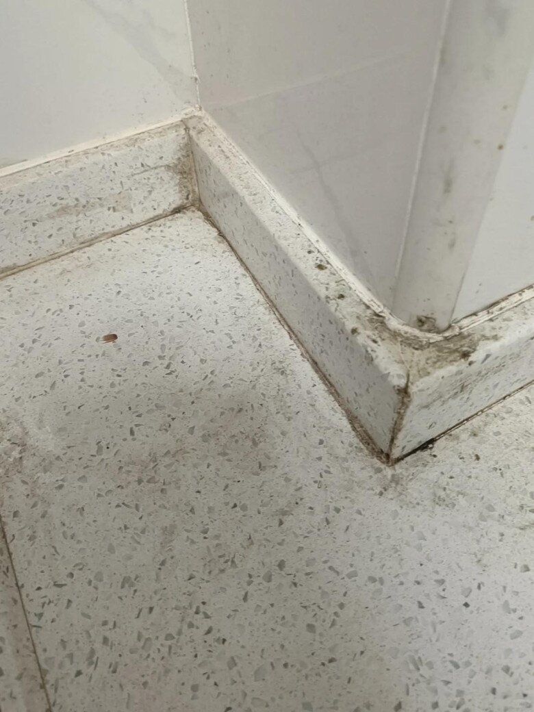 Nhà bếp dù lớn hay nhỏ cũng nên tránh 7 thứ này, đây không phải mê tín - 5