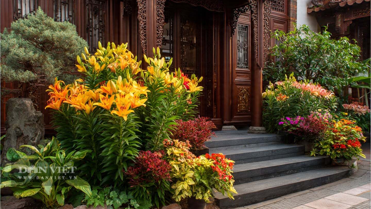 Loài hoa này bùng nổ sắc màu