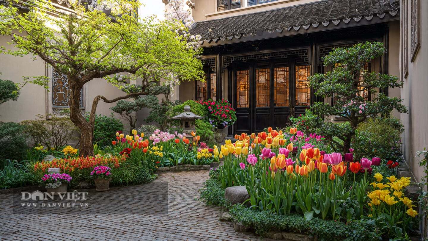 Hoa tulip là loài hoa đặc trưng của mùa xuân.