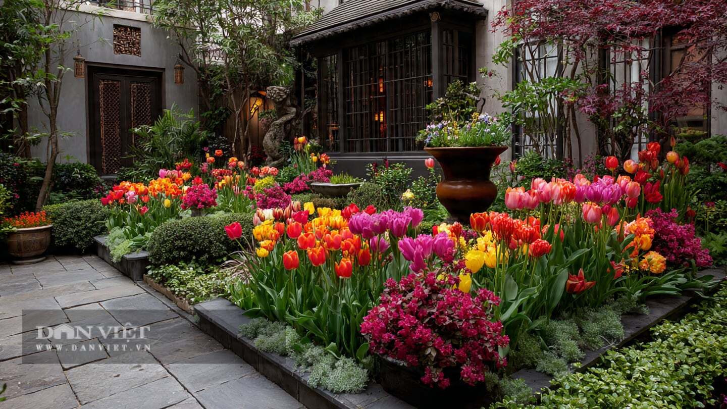Tulip không có hương thơm nồng nàn