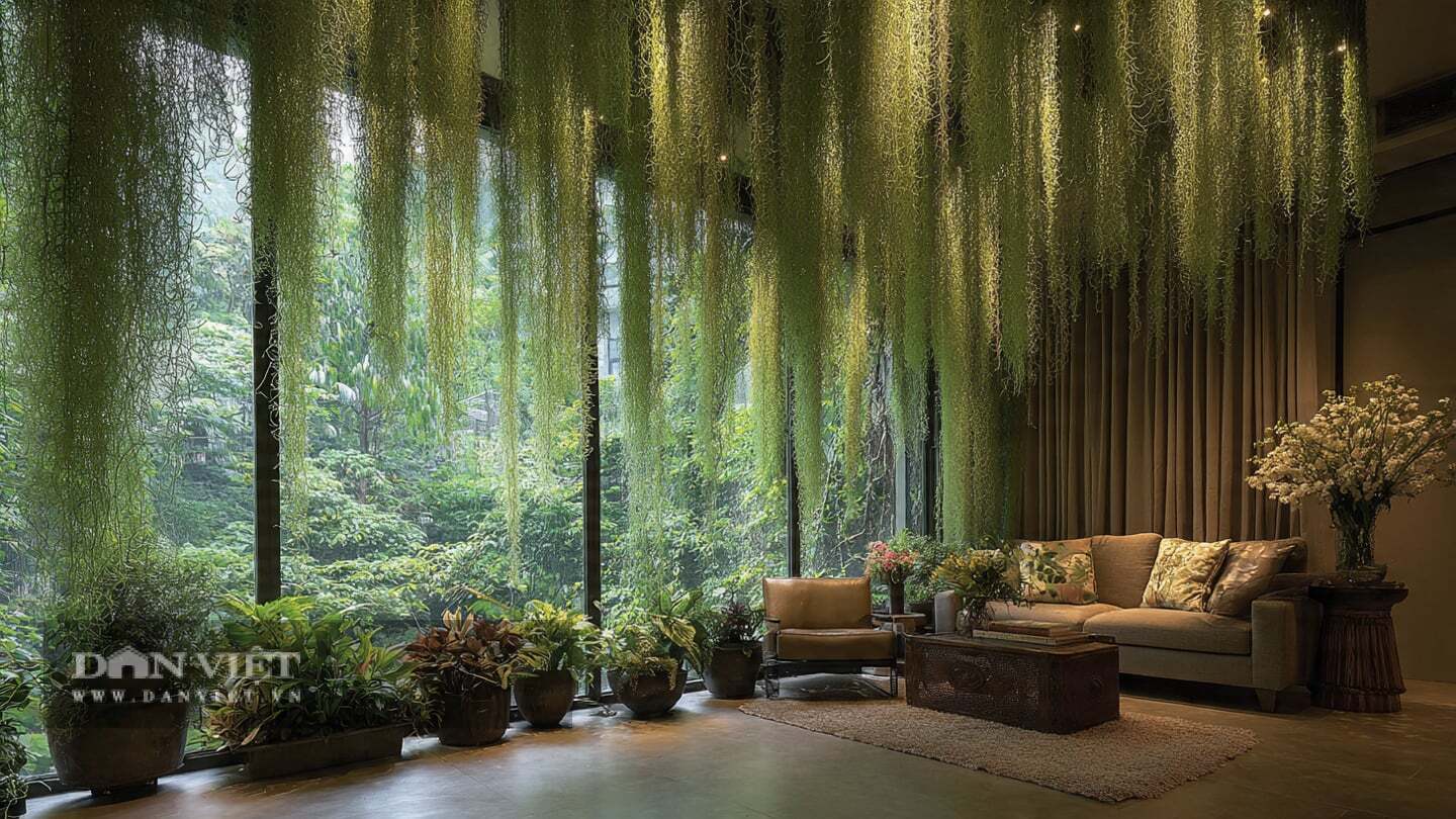 Cây cảnh treo lơ lửng