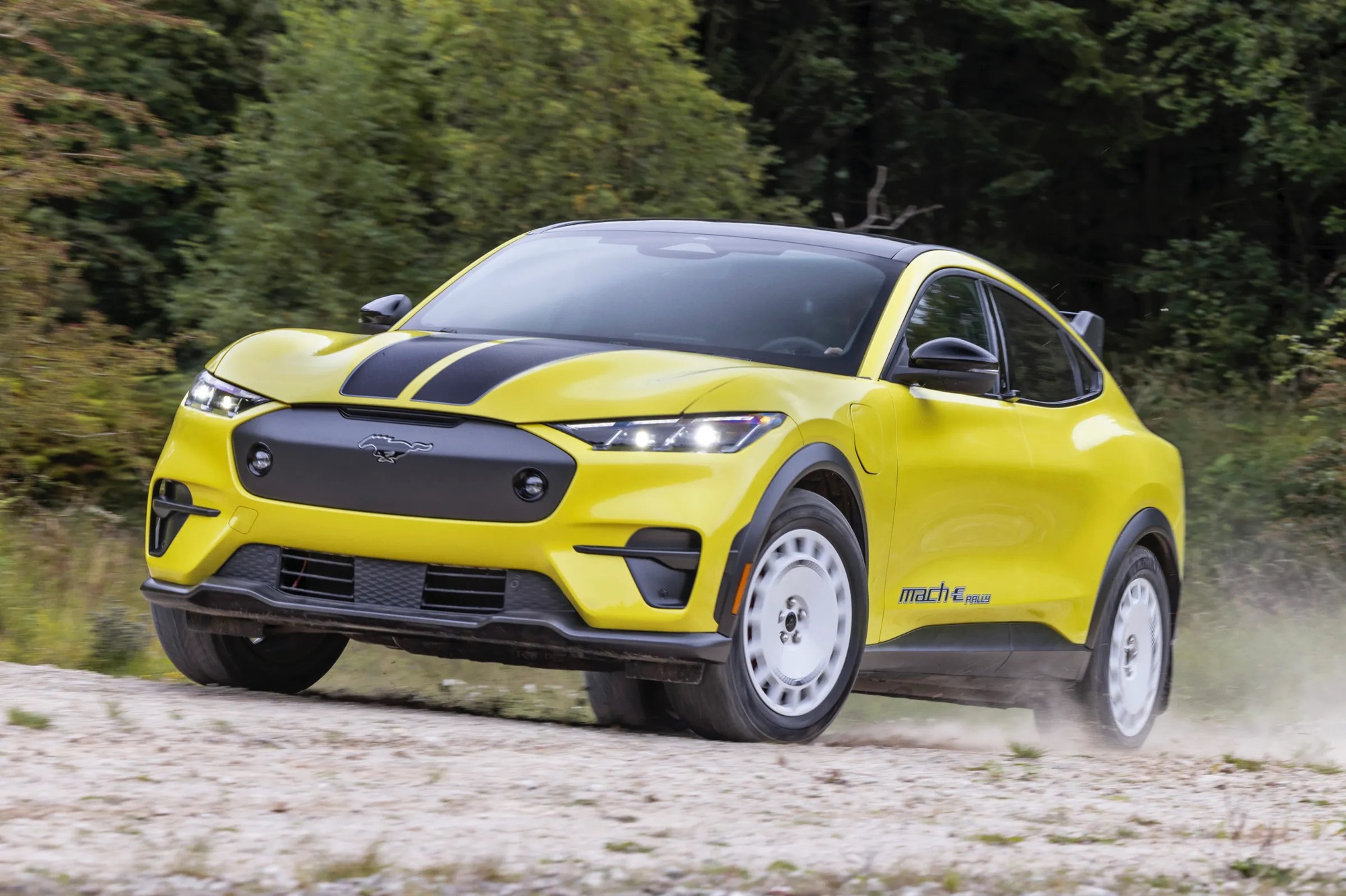Ford nhá hàng 5 xe sắp ra mắt: Fiesta hồi sinh, Bronco mới, có cả xe xăng và điện, mang DNA của xe đua- Ảnh 4.