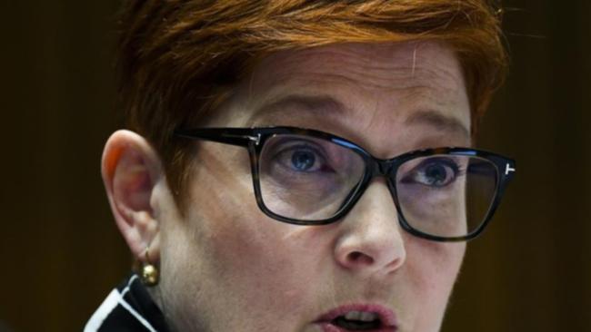 Foreign Minister Marise Payne says sanctions on Myanmar would not advance Australia's interests.