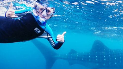 Jackson was snorkelling with his father when he was attacked.