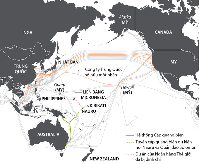 Hệ thống cáp quang biển tại Thái Bình Dương. Đồ họa: Reuters.