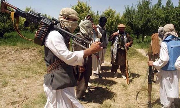 Luc luong Taliban tai Pakistan tuyen bo tiep tuc ngung ban hinh anh 1