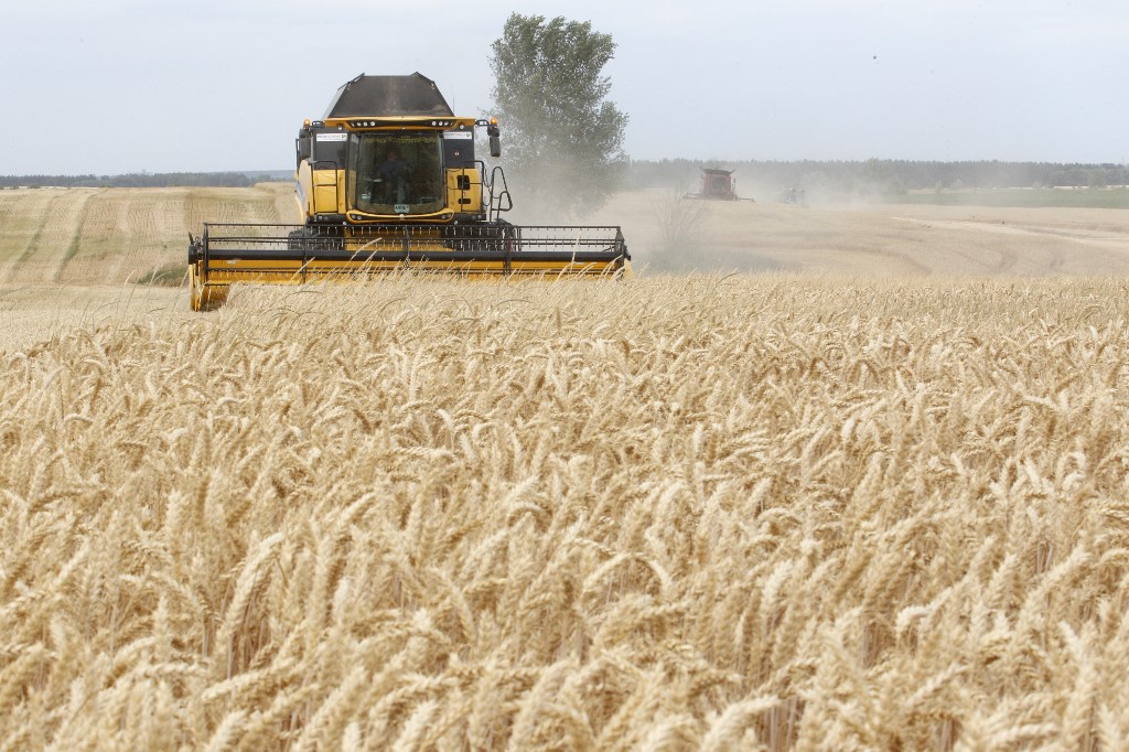 Máy thu hoạch lúa mì trên cánh đồng gần làng Krasne, vùng Chernihiv, Ukraine hồi năm 2019. Ảnh: AFP.