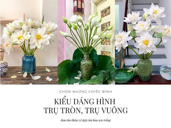 Hoa sen trắng: ý nghĩa, công dụng và cách trồng ra hoa thơm ngát - 8