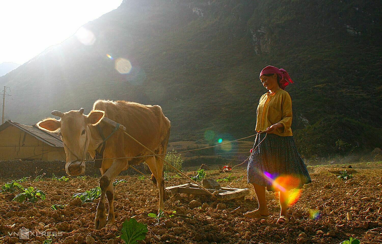 Nạn tảo hôn sẽ khiến các quốc gia đang phát triển như Việt Nam, phải gánh chịu hàng nghìn tỷ hậu quả, liên quan chi phí y tế, giảm thu nhập và năng suất trên thị trường lao động, theo World Bank. Ảnh: Ngọc Thành