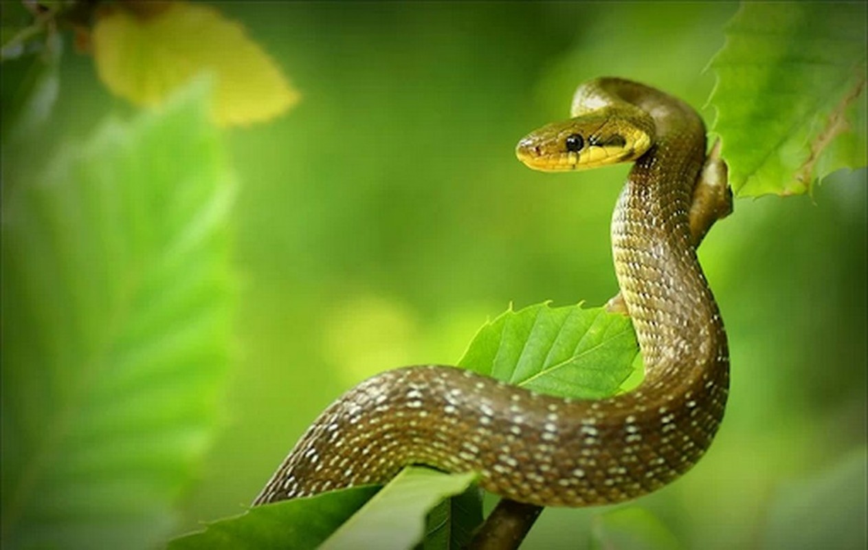 Thoi toi can khong kip, 3 tuoi giau nhat thang 6/2024-Hinh-8