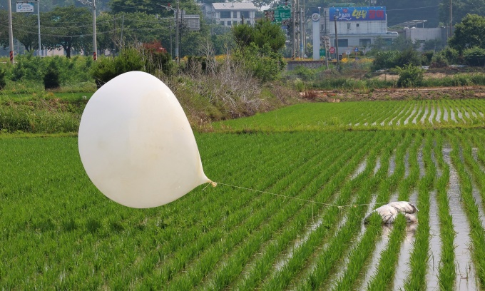 Bóng bay được cho là do Triều Tiên thả rơi xuống cánh đồng ở Seonwon-myeon, quận Ganghwa, thành phố Incheon, Hàn Quốc, ngày 10/6. Ảnh: AFP