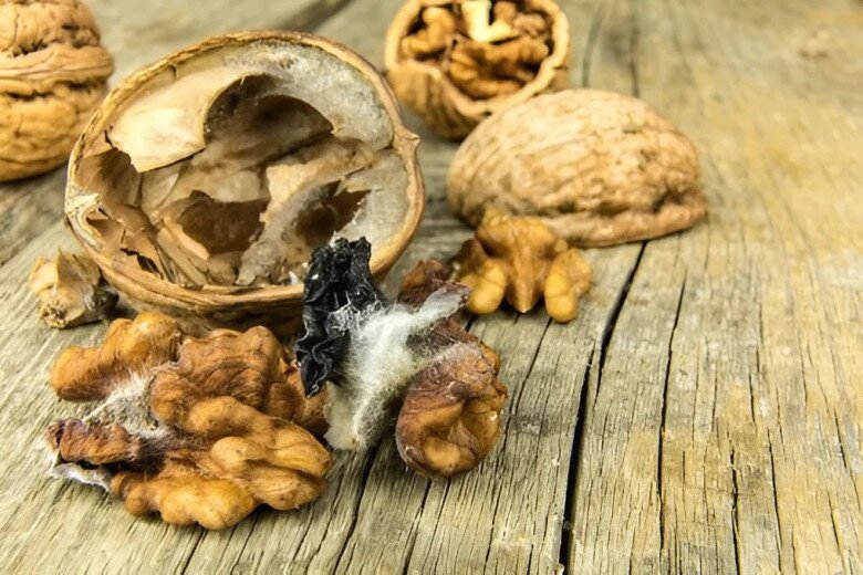 Ăn hạt bị mốc có thể khiến cơ thể mắc nhiều loại bệnh. (Ảnh minh họa).