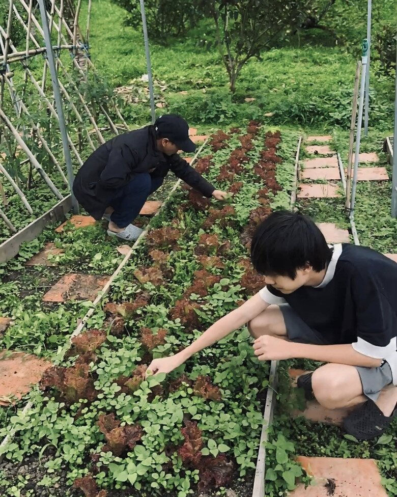 Nam đạo diễn tận tay chỉ dạy quý tử đầu lòng nhổ cỏ, hái rau.