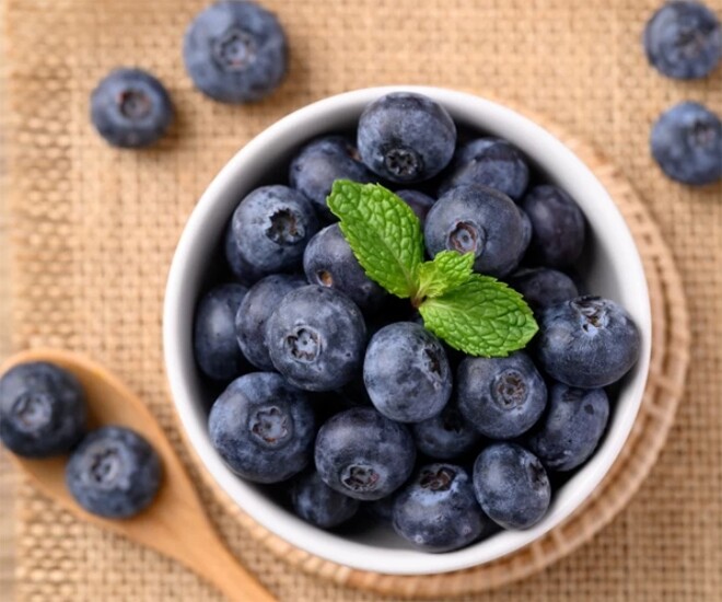 Tác dụng của việt quất.