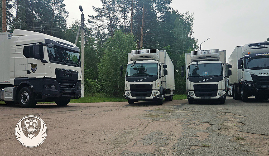 Đoàn xe chở thi thể các quân nhân Ukraine tại khu vực biên giới giữa Nga và Ukraine ngày 11/6. Ảnh: AFP