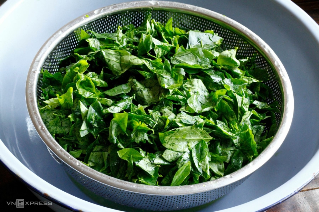 Ảnh minh họa: Bùi Thủy