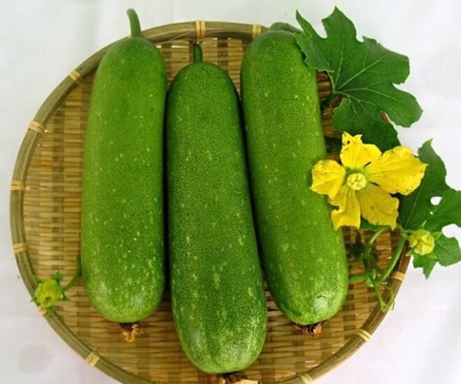 Loại quả leo bờ rào là amp;#34;kho dinh dưỡng thiên nhiênamp;#34;, đem xào hoặc nấu canh thành đặc sản thanh mát mùa hè, tốt cho bà bầu - 1