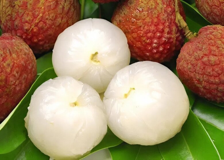 Thịt vải được xếp vào nhóm tính nhiệt, nghĩa là có thể gây nóng trong nếu ăn nhiều. (Ảnh minh hoạ).