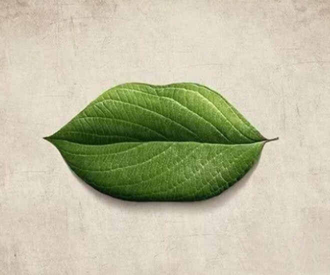 Trắc nghiệm tâm lý: Bạn thấy gì trong hình ngay từ giây đầu tiên? - 1