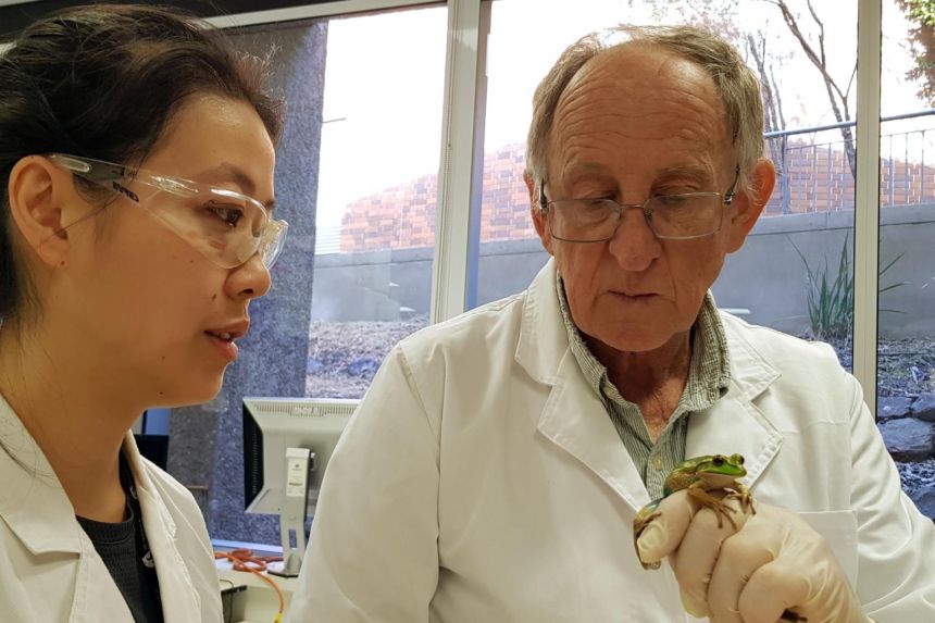 Biology professor and conservationist Michael Mahony has mastered imitating and understanding the shrills, croaks and whistles of frogs.