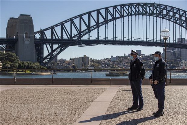 Protesters throw plastic bottles and pot plants at mounted police at Sydney Town Hall.