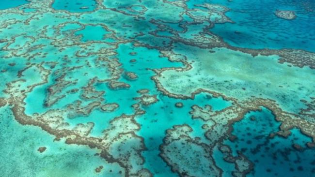 A UNESCO committee has put off a decision on whether the Great Barrier Reef is 
