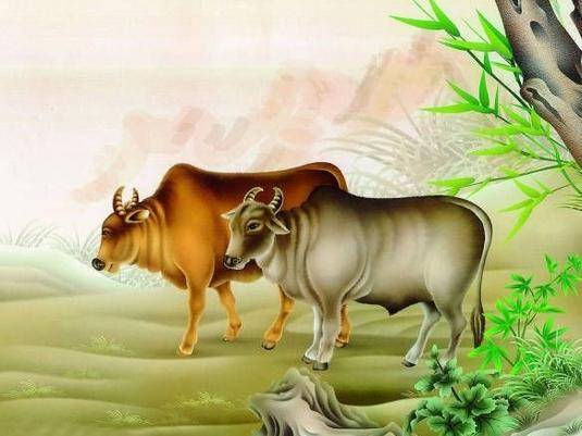 3 con giáp này chính là ngôi sao may mắn của cha mẹ - 1