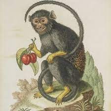 3 con giap tuy kieu ngao nhung lai la nguoi am ap hon ai het-Hinh-7