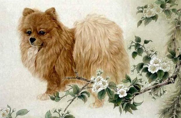 Tu 2023 - 2031: Bon con giap ca chep hoa Rong, thanh phu ong giau co-Hinh-7