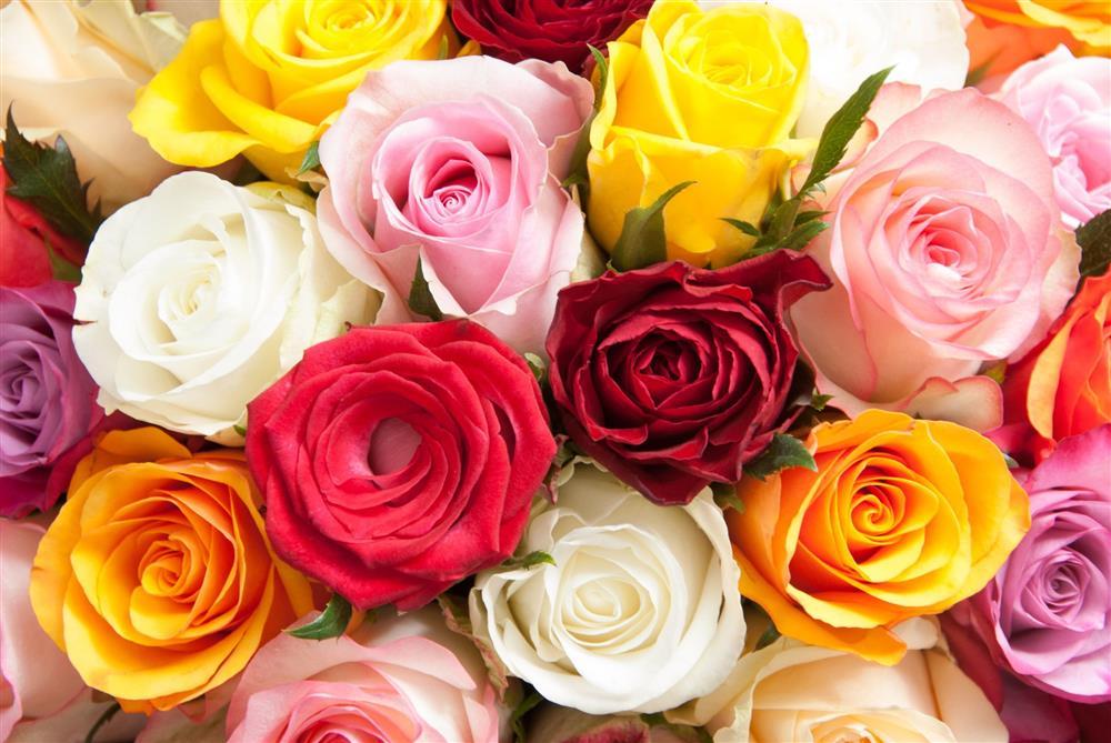 Trẻ sinh vào 4 khung giờ Âm lịch này, hết mực hiếu thảo-2