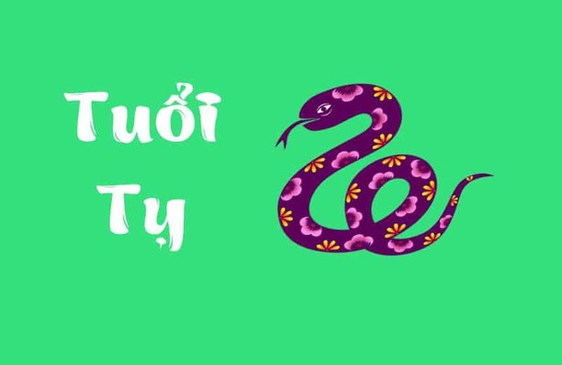 Tử vi tuần mới 12 con giáp từ 18/7/2022- 24/7/2022: Hung cát đan xen-2