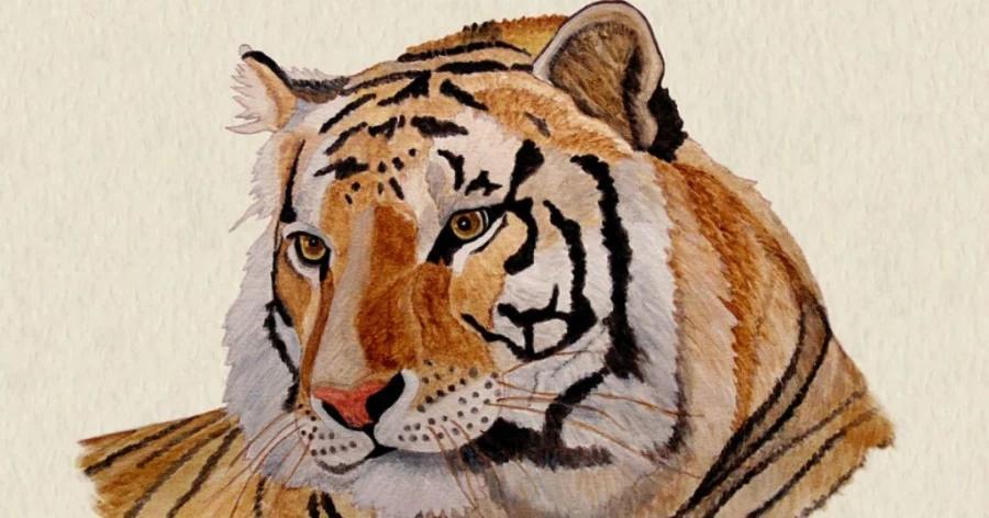 4 con giáp cá chép hóa rồng, tiền vào như nước từ 2023 đến 2031-1