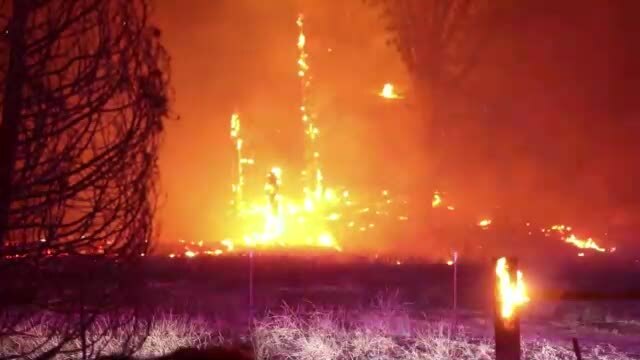 Cháy rừng hoành hành ở California