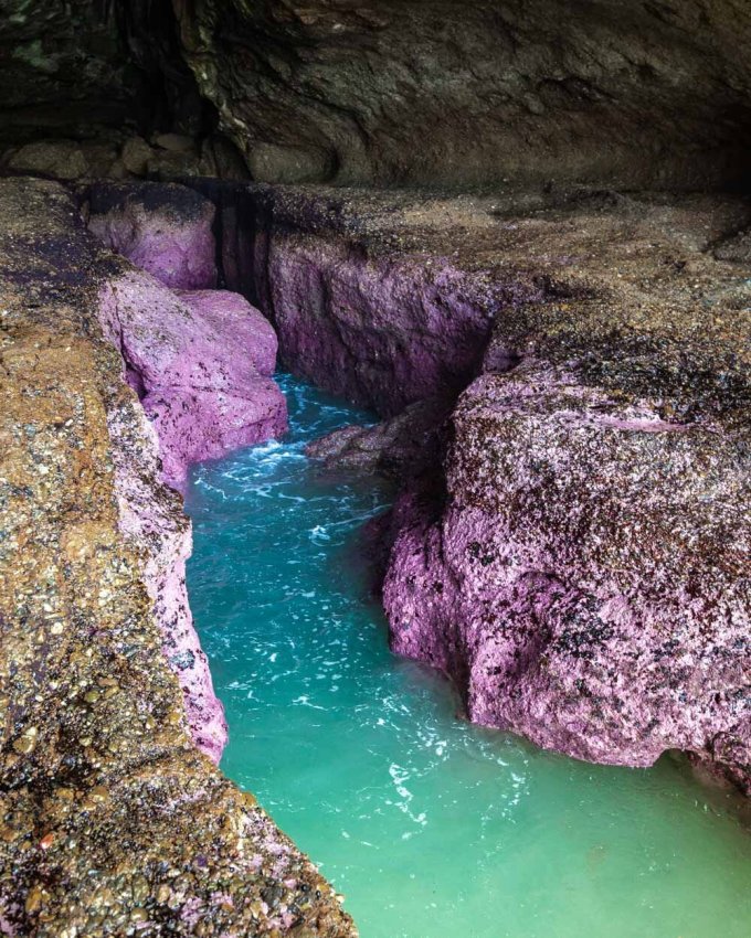 Động đá hồng ở Moonee, Australia, nơi hai du khách cao tuổi vừa bị sóng cuốn chết đuối. Ảnh: Walkmyworld