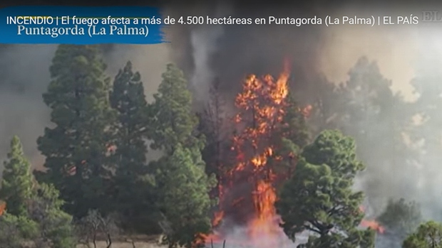 4.000 người Tây Ban Nha sơ tán khẩn do cháy rừng vượt khỏi tầm kiểm soát - Ảnh 1.