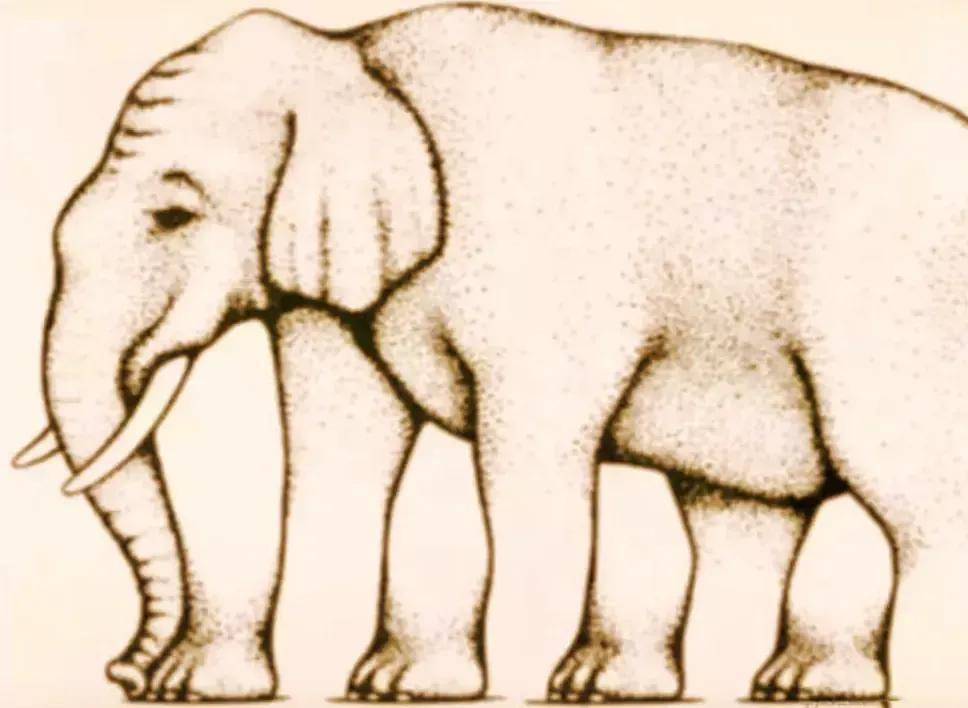 Trắc nghiệm tâm lý: Bạn thấy có bao nhiêu chiếc chân voi trong hình? - 1