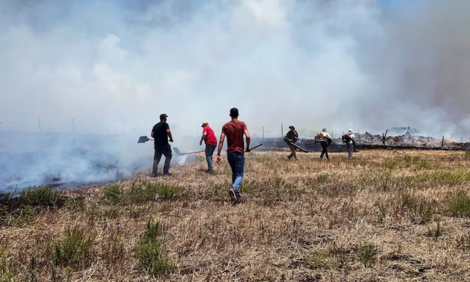 Người Israel dập một đám cháy sau cuộc tấn công của Hezbollah ở miền bắc nước này hôm 7/7. Ảnh: Reuters